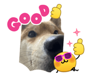 853113939
