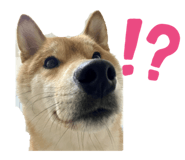 853113940