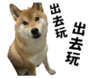 853113943