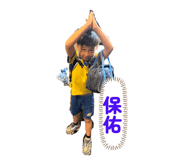 853114653