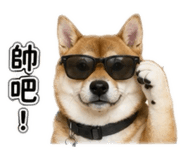 853122175