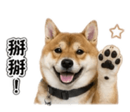 853122180