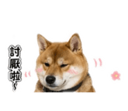 853122182