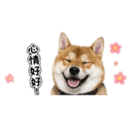 853122183