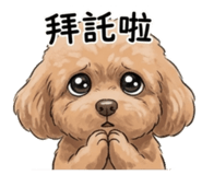 853126433