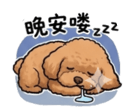 853126441