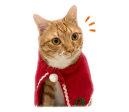 853128402