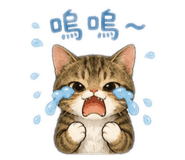 853133205