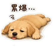 853133830