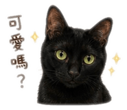 853134448