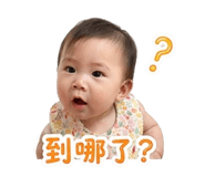 853135037