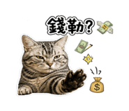 853135420