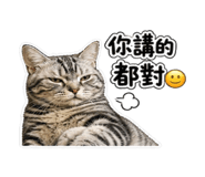 853135422