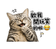 853135424