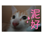 853148231