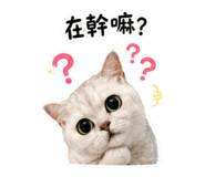 853149673