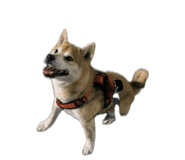 853152170