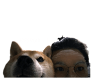 853152172