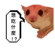 853153122