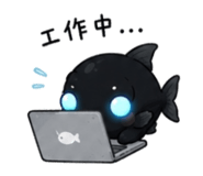 853163112