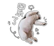 853163354
