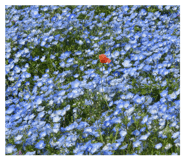 853163581