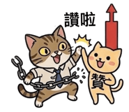 853163657