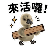 853163823