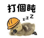 853163830