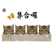853163839
