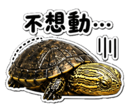 853167022