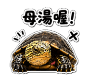 853167023