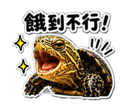 853167024