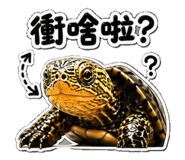 853167025