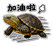 853167026