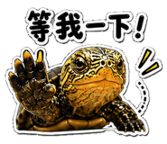 853167027