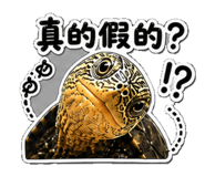 853167028