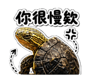 853167029