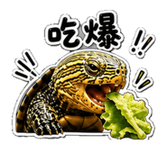 853167030
