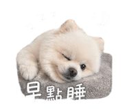 853167223