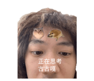 853168211