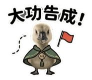 853169456