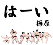 853172575