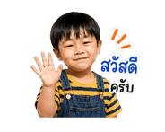 853177637