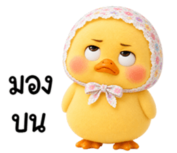 chubby Duck in sweet headscarf 12