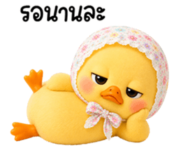 chubby Duck in sweet headscarf 25