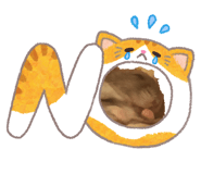 853232246