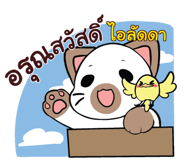 853243377