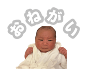 853245091