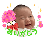 853245401